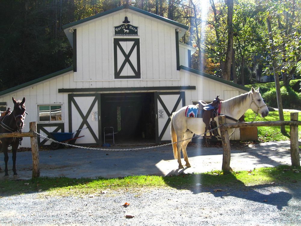 Valle Crucis Farm 外观 照片